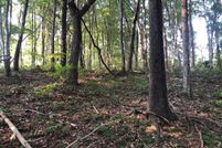 Hunting Property in Vinton County, Ohio