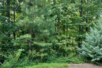 Undeveloped Land in Pickens County, Georgia