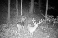 Land in Scioto County, Ohio