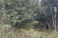 Undeveloped Land in Dorchester County, Maryland