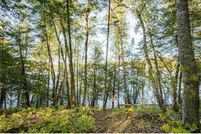 Land in Itasca County, Minnesota