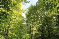 Undeveloped Land in Iron County, Wisconsin