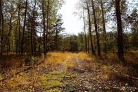Undeveloped Land in Cowlitz County, Washington
