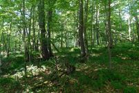 Land for sale in Preston County, West Virginia