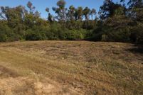 Undeveloped Land in Saint Helena Parish, Louisiana