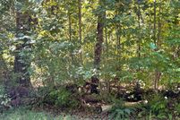 Undeveloped Land in Clay County, North Carolina