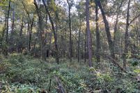 Land in Alachua County, Florida