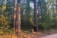 Undeveloped Land in Mason County, Michigan