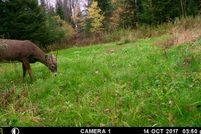 Undeveloped Land in Oneida County, Wisconsin