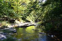 Farm and Ranch in Rockingham County, North Carolina