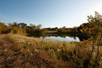 Undeveloped Land in Grimes County, Texas