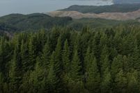 Undeveloped Land in Curry County, Oregon