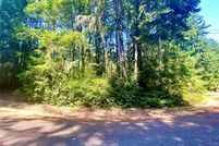 Undeveloped Land in Pierce County, Washington