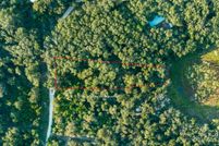 Undeveloped Land in Alachua County, Florida