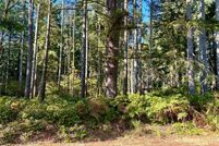 Undeveloped Land in Pierce County, Washington
