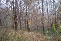 Land in Pocahontas County, West Virginia