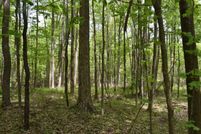 Recreational Property in Chautauqua County, New York