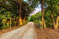 Undeveloped Land in Grayson County, Texas