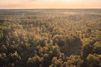 Hunting Property in Ripley County, Missouri