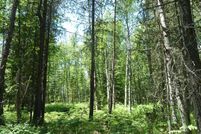 Undeveloped Land in Bonner County, Idaho