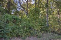 Undeveloped Land in Bowie County, Texas