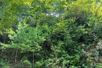 Undeveloped Land in Clay County, North Carolina