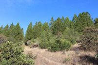 Undeveloped Land in Yuba County, California