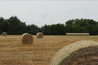 Undeveloped Land in Hunt County, Texas