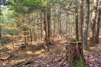 Recreational Property in Oswego County, New York