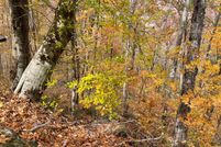 Undeveloped Land in Towns County, Georgia