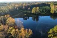 Timberland Property in Lee County, Alabama