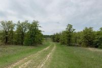 Undeveloped Land in Wise County, Texas