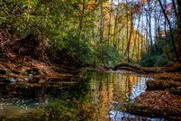 Timberland Property in Buncombe County, North Carolina