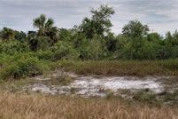 Undeveloped Land in Sarasota County, Florida