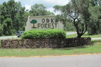 Undeveloped Land in Citrus County, Florida