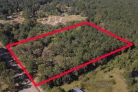 Undeveloped Land in Saint Helena Parish, Louisiana