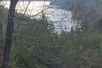 Undeveloped Land for sale in Benton County, Arkansas