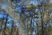Undeveloped Land in Jones County, Mississippi