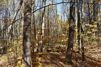 Hunting Property in Potter County, Pennsylvania