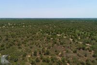 Undeveloped Land in Jones County, Texas