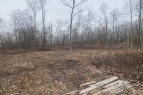 Undeveloped Land in Jay County, Indiana