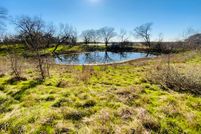 Undeveloped Land in Navarro County, Texas