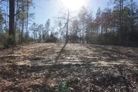 Undeveloped Land for sale in Leon County, Texas