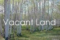 Undeveloped Land for sale in Wayne County, Michigan