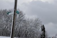 Land for sale in Wayne County, Michigan