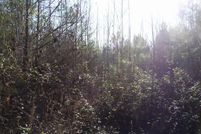 Undeveloped Land for sale in Warren County, North Carolina