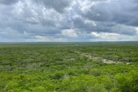 Recreational Property in Duval County, Texas