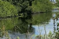 Waterfront Property for sale in Lee County, Florida