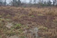 Undeveloped Land in Calcasieu Parish, Louisiana
