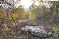 Timberland Property for sale in Alleghany County, North Carolina